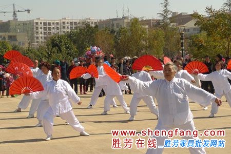 老年人家居