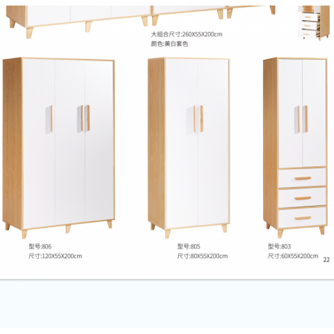 勝芳家具批發(fā) 衣柜 木質(zhì)衣柜 板式衣柜批發(fā) 現(xiàn)代簡(jiǎn)約衣柜 臥室家具 廣興家具